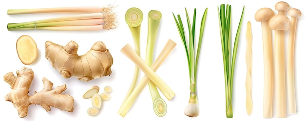 Lemongrass Ginger Lemon and Enoki Mushrooms Realistic Illustration