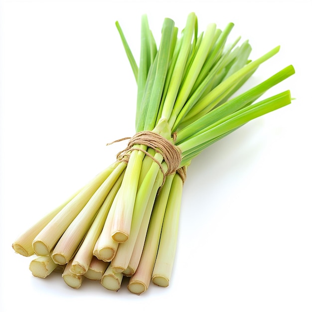 Lemongrass on White Background