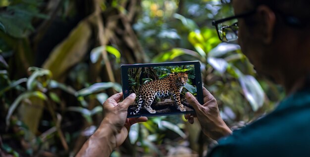 Photo a leopard is being held up by a person with a camera