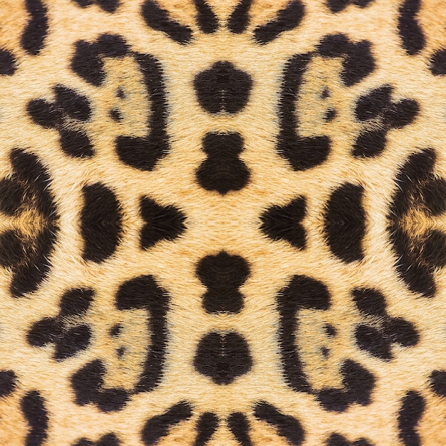 Leopard skin texture for background