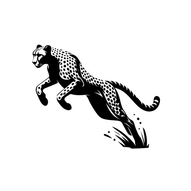 a leopard with black spots is on a white background