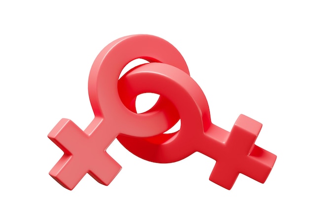 Lesbian gender symbols Couple of women as a symbol of homosexuality isolated on white background 3d render