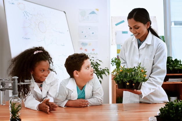 Lets check in with our little test study Shot of an adorable little boy and girl learning about plants with their teacher at school