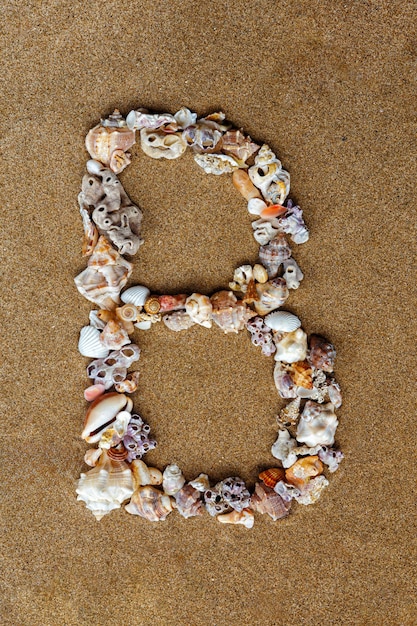 The letter B of the English alphabet a letter made of seashells on the sand