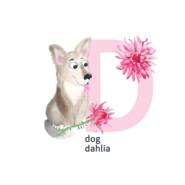 Letter D dog dahlia cute kids colorful animals and flowers ABC alphabet Watercolor illustration isolated on white background