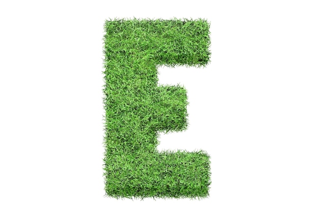 The letter e of green grass