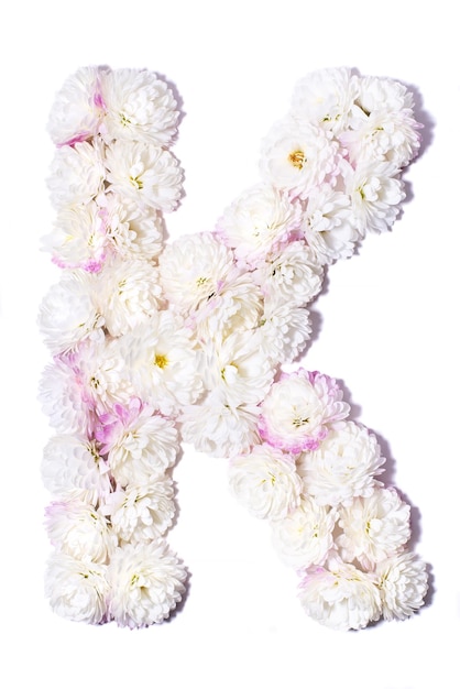 Letter of the English alphabet made of flowers