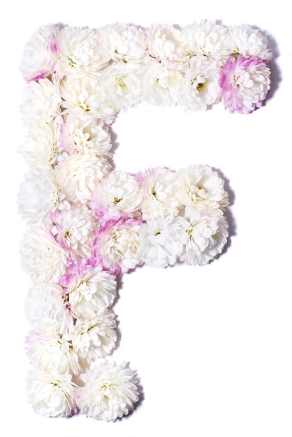 Letter of the English alphabet made of flowers