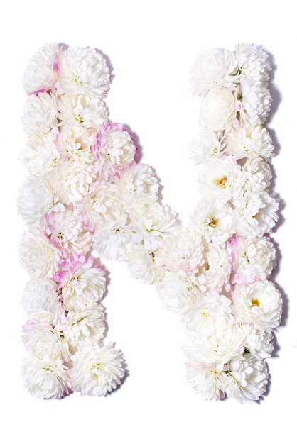 Letter of the English alphabet made of flowers