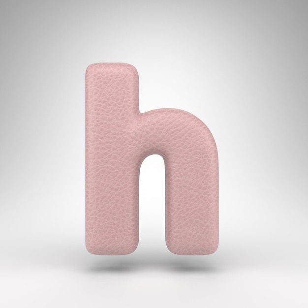 Letter H lowercase on white background. Pink leather 3D rendered font with skin texture.