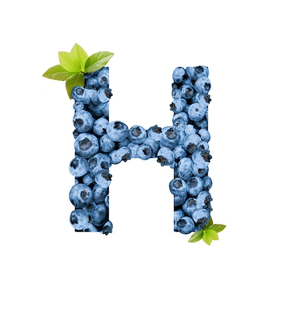 Letter H, made with fresh blueberries isolated on white. Bluberries font of full alphabet set of upper case letters.