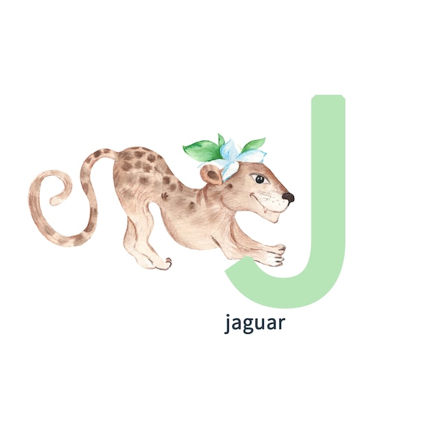 Letter J jaguar kids animals ABC alphabet Watercolor illustration isolated on white background