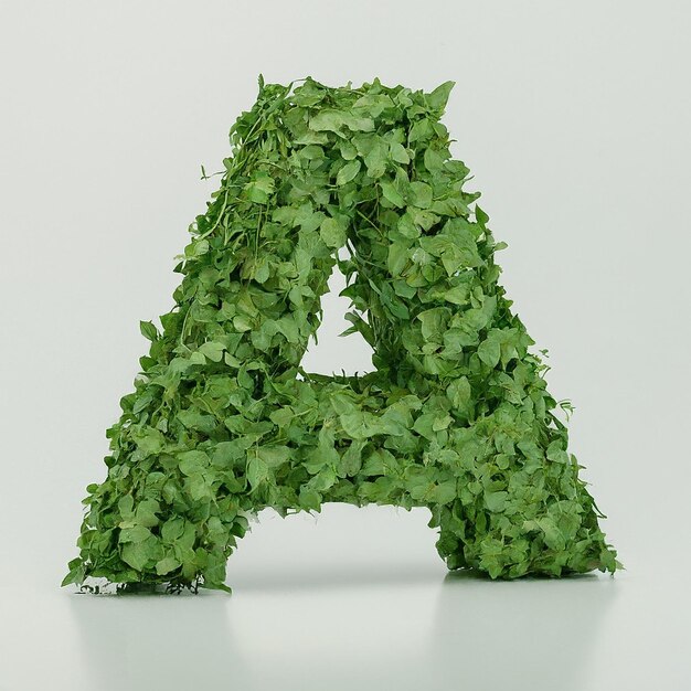 a letter made out of green leaves with a white background