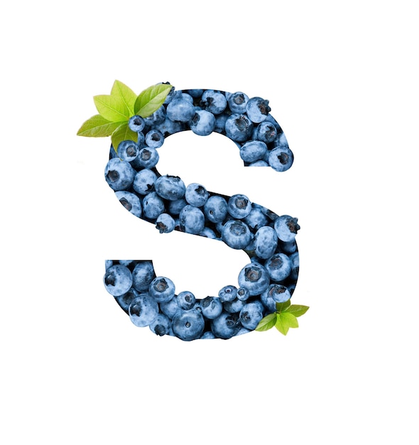 Letter S, made with fresh blueberries isolated on white. Bluberries font of full alphabet set of upper case letters.