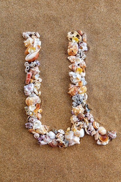 The letter U of the English alphabet a letter made of seashells on the sand