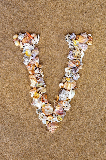 The letter V of the English alphabet a letter made of seashells on the sand