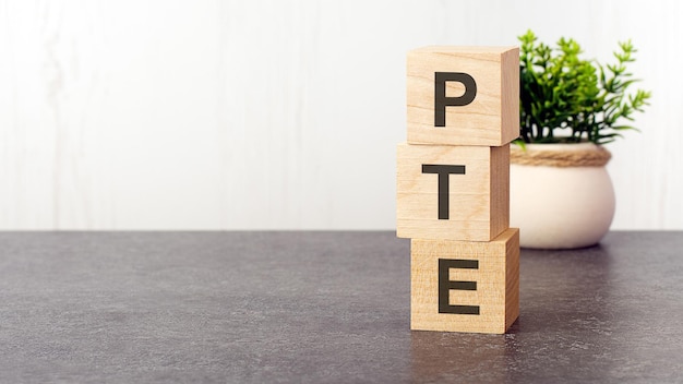 Letters of the alphabet of pte on wooden cubes green plant on a white background