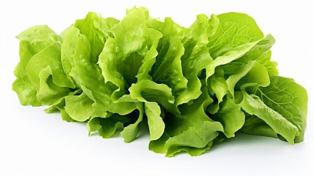 lettuce is a popular food for the company