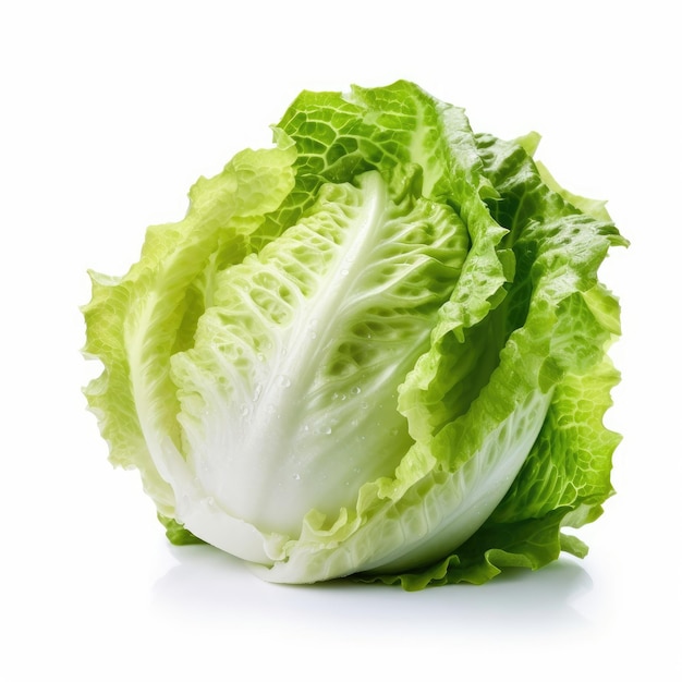 Lettuce isolated on white background generative AI