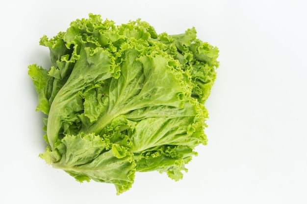 Lettuce isolated on white background. Popular vegetable Salad leaf. 