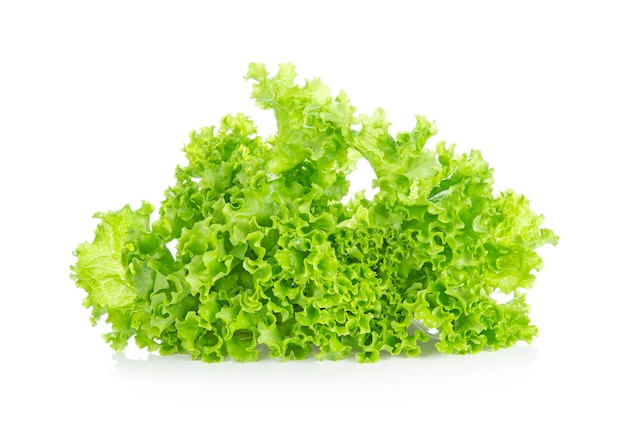 Lettuce isolated on white background Salad leaf