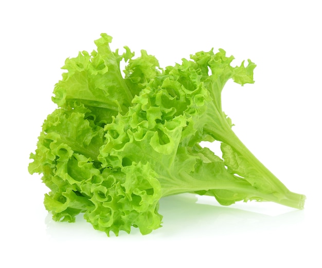 Lettuce isolated on white background