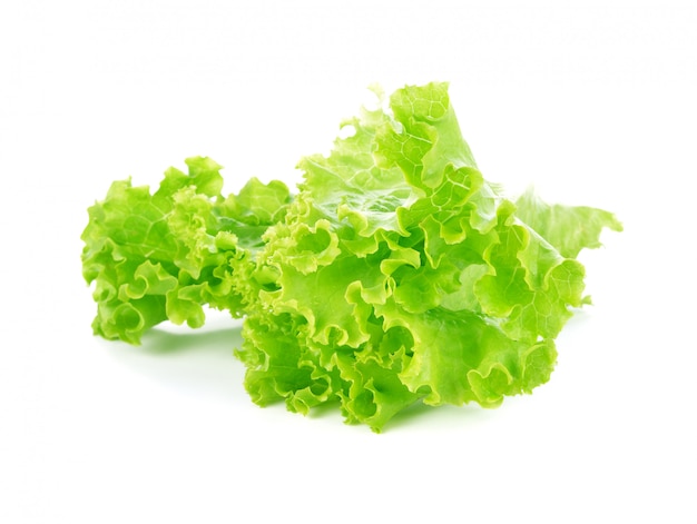 Lettuce isolated on white background