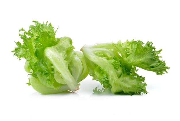 Lettuce isolated