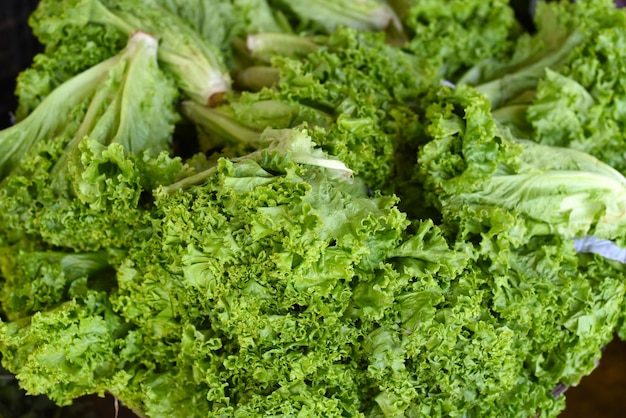 Lettuce Lactuca sativa leaves in the Vinh Hai market of Nha Trang Vietnam