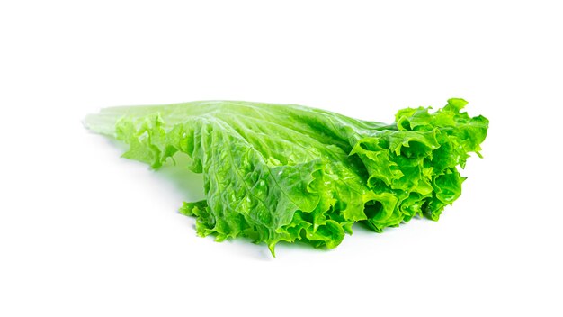 Lettuce leaves isolated.