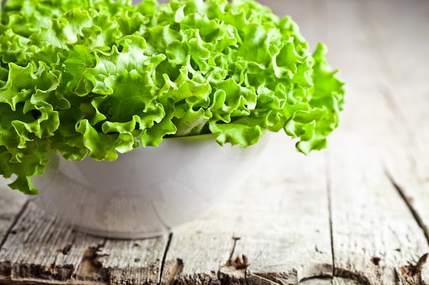 Lettuce salad in a bowl