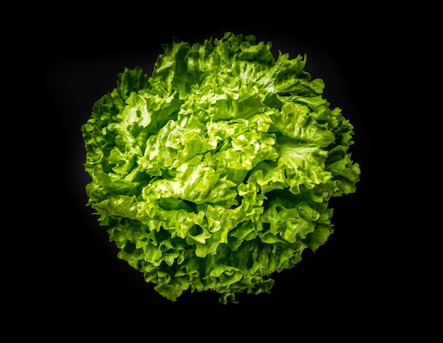 Lettuce salad isolated on a black background