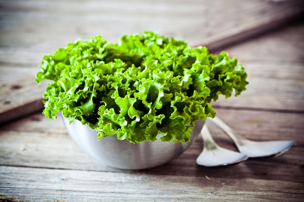 Lettuce salad in metal bowl and spoons 