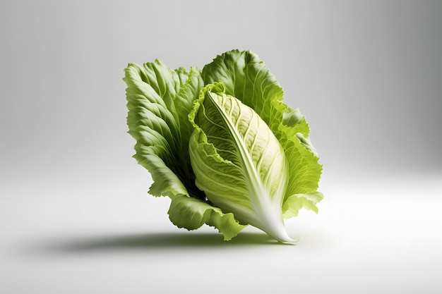 Lettuce Vegetable Ai generative