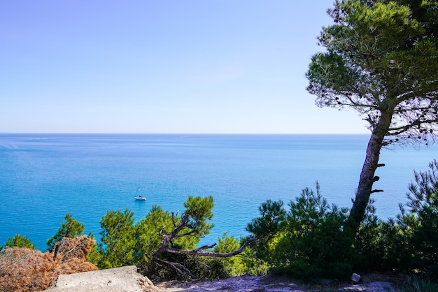 Leucate coast in south sea mediterranean horizon Pyrenees Orientales in Languedoc-Roussillon France