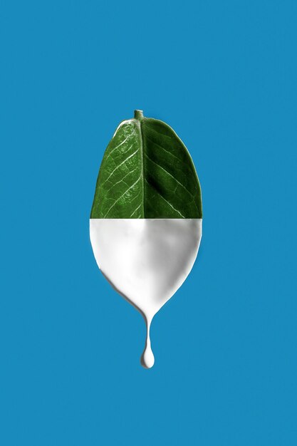 The levitating leaf of the plant is half painted white. Paint dripping down. The concept of cosmetic