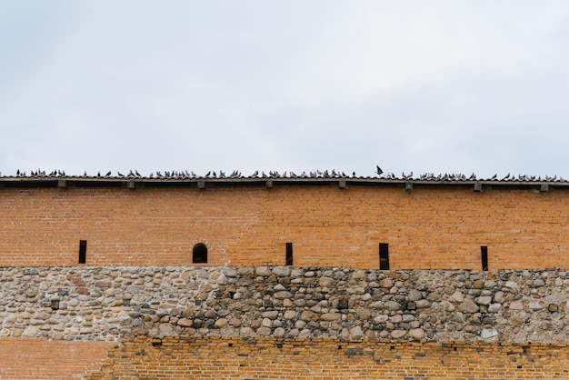 Lida Belarus April 2022 Pigeons on the wall of the Leeds Castle