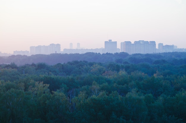 Light blue early sunrise over urban houses and park