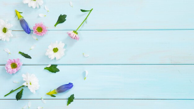 Light blue wooden background with delicate flowers