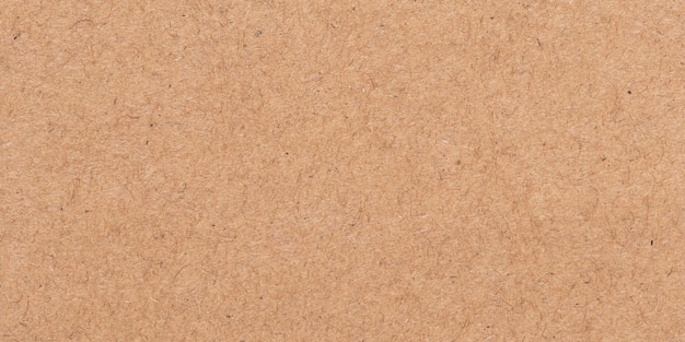 Light brown texture. Cardboard packaging. Beige parchment, manuscript. Rough background. Natural surface of a sheet of old paper.