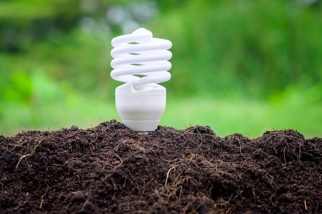 Light bulb on green background Ecological technology Save earth concept