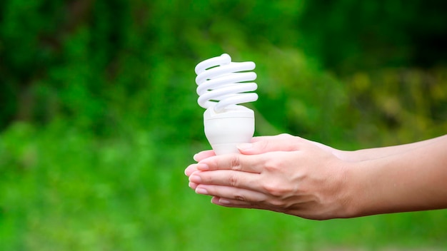 Light bulb on green background Ecological technology Save earth concept