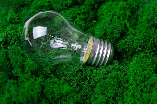 Light bulb on green background