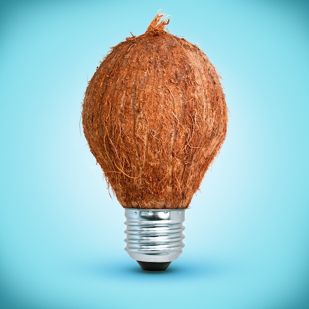 Light bulb in shape of coconut