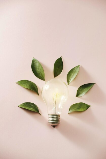 Light bulb with green leaves