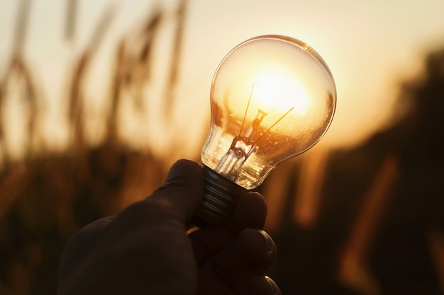 light bulb with sunset nature background. power energy concept