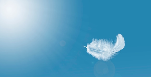 Light fluffy a white feather floating in the sky.