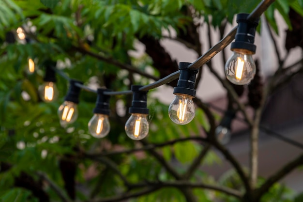 Light garland on the street at daylight Decoration of the street with vintage Edison bulbs garland festive city decorations celebrating