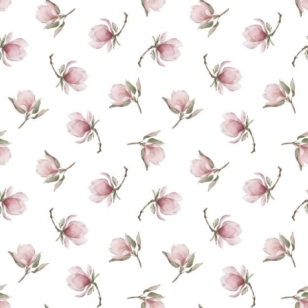 Light pink magnolia branches with flowers Watercolor floral seamless pattern on white background