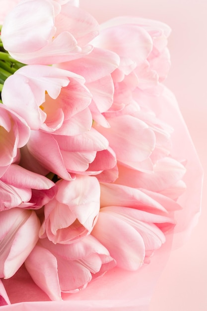 Light pink tulips on a pink background.